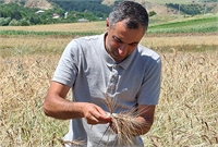 Zaza Ivanidze